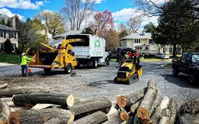 Best Tree and Shrub Care  in Kutztown, PA