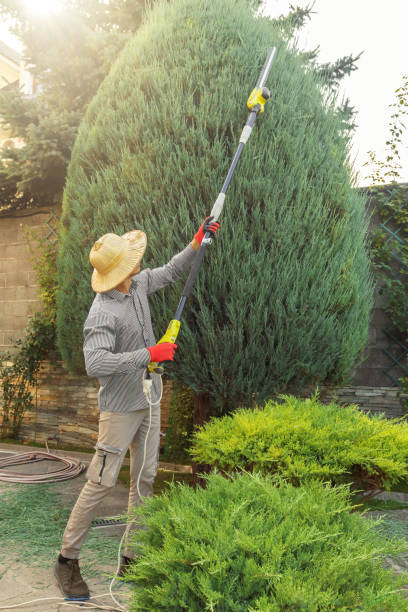 Best Arborist Consultation Services  in Kutztown, PA